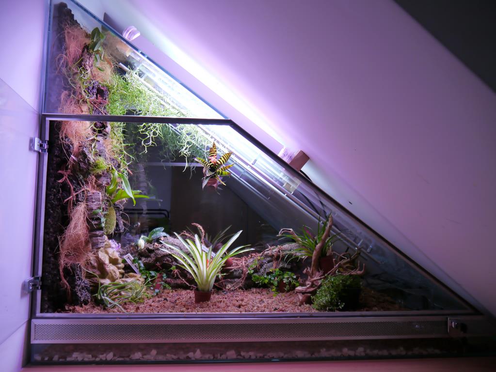 Orchidarium