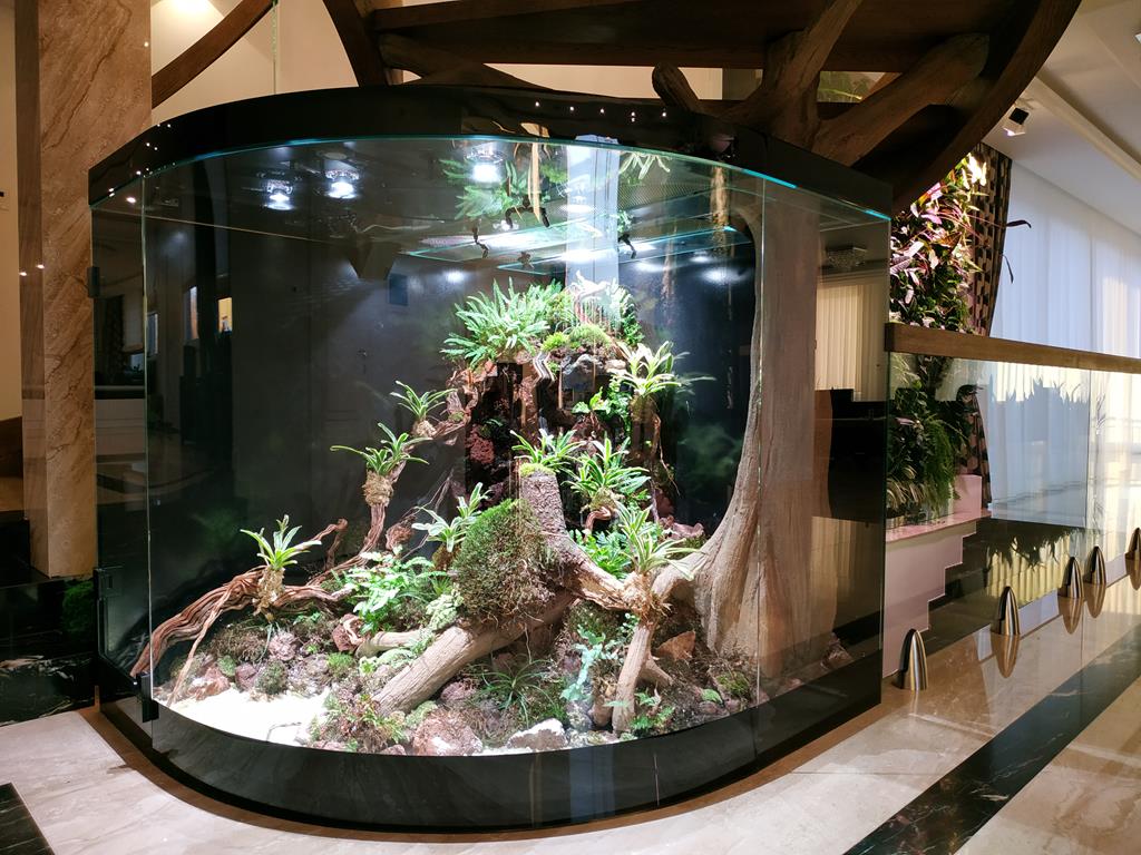 Gablota szklana -Terrarium z frontem giętym